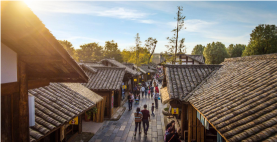 川派盆景制作传习基地，活动基地