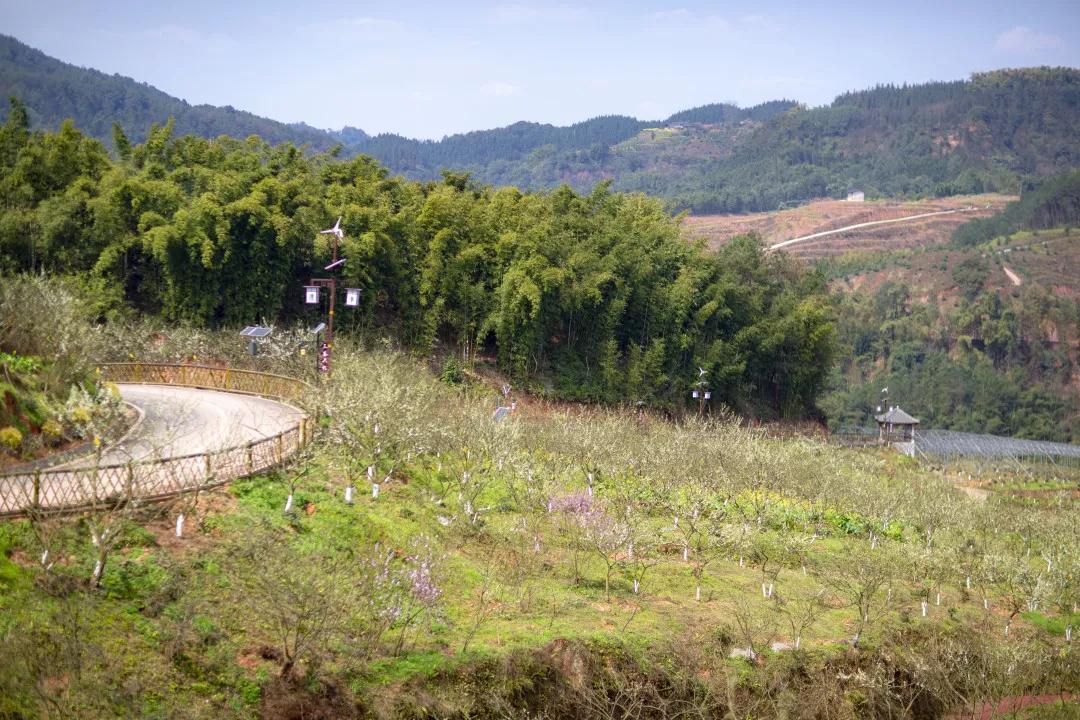 我会张昌余顾问受邀到胜天红岩山景区考察(图7)