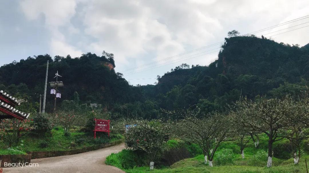 我会张昌余顾问受邀到胜天红岩山景区考察(图34)