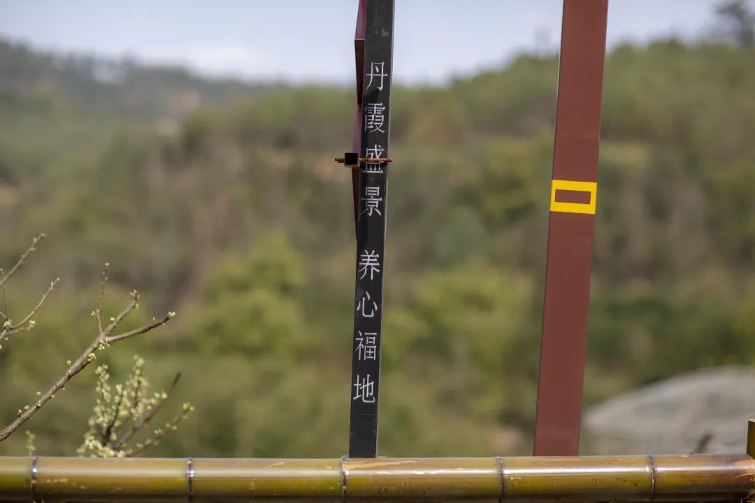 我会张昌余顾问受邀到胜天红岩山景区考察(图15)