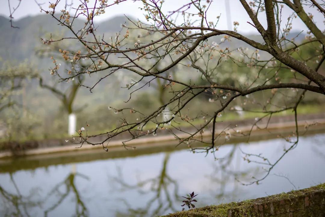 我会张昌余顾问受邀到胜天红岩山景区考察(图32)