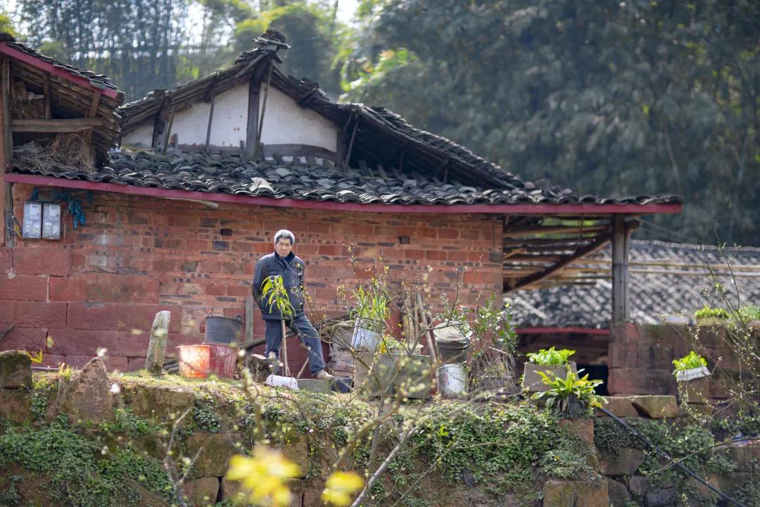 我会张昌余顾问受邀到胜天红岩山景区考察(图26)