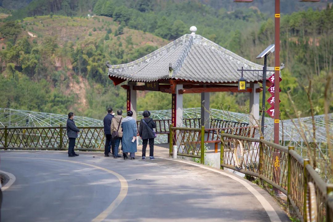 我会张昌余顾问受邀到胜天红岩山景区考察(图4)