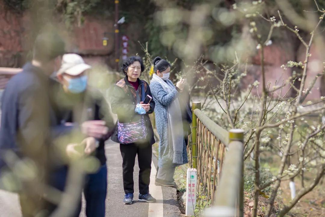 我会张昌余顾问受邀到胜天红岩山景区考察(图17)