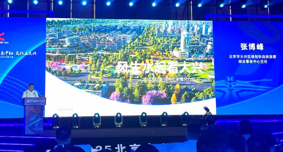 携手协同发展   共襄产业盛会   2025北京大兴文化产业推介会隆重举行(图11)